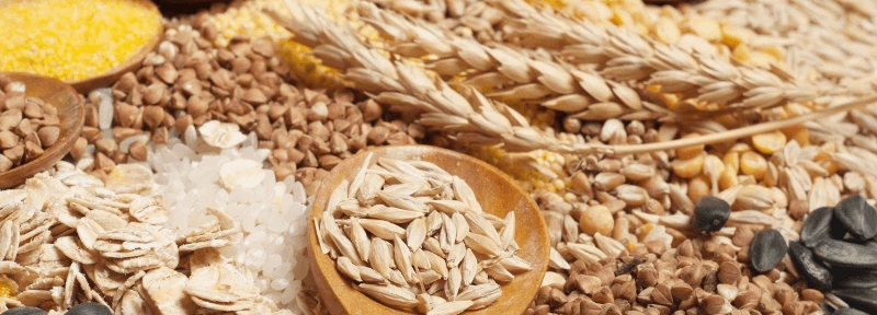 Brein voedsel volkoren